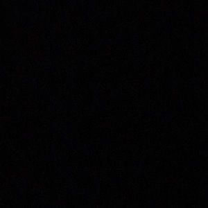 Meet your Posher, Ella